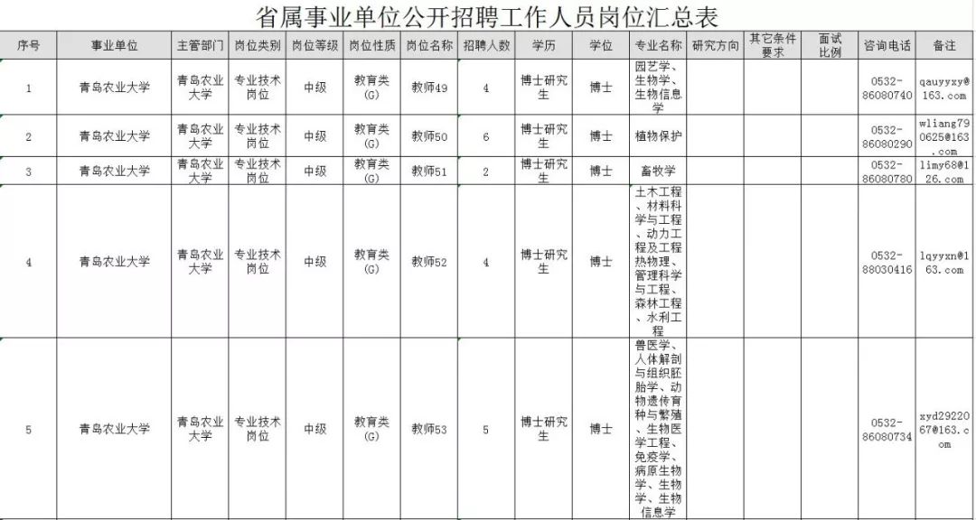 山东招工人最新招聘信息概览