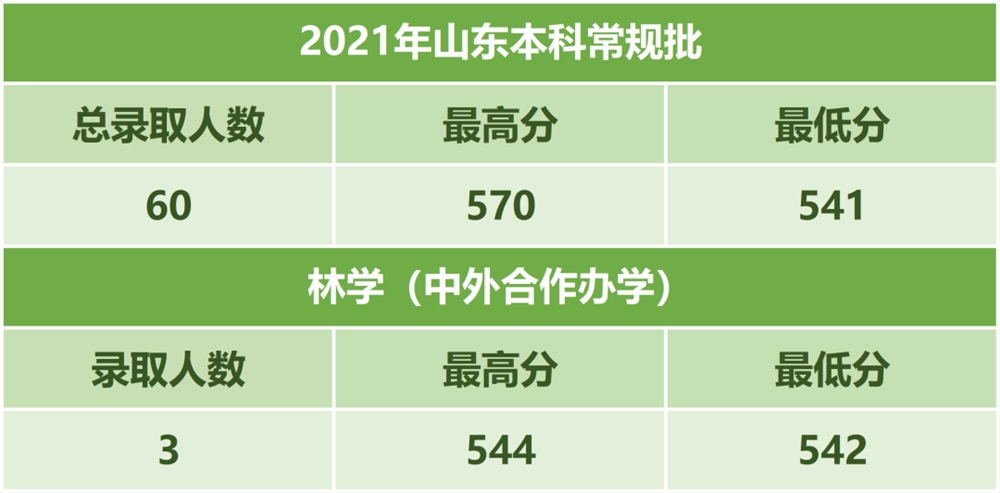 山东自考网成绩，查询、分析及提升策略