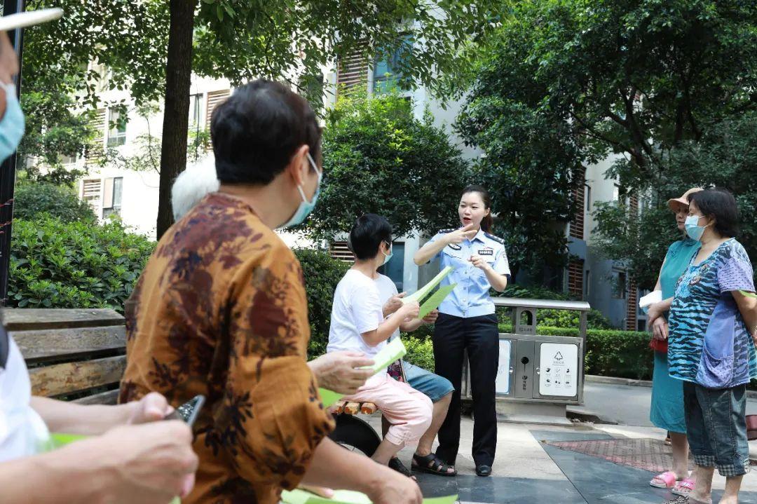 沙坪坝自学考试网，助力个人学习与成长的平台