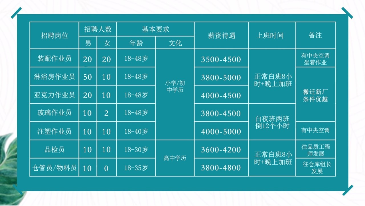 厦门招聘人才网最新招聘动态深度解析